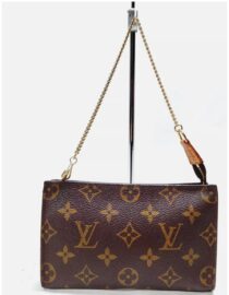 Louis Vuitton LV Accessory pouch Bucket pouch Brown Monogram