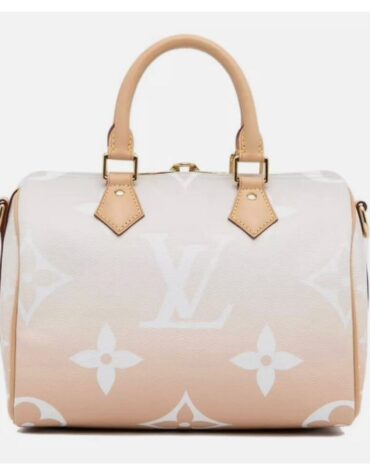 Louis Vuitton Monogram Giant By The Pool Speedy Bandoliere 25 PRISITINE