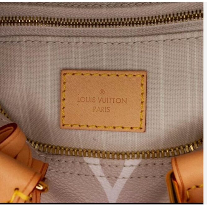 Louis Vuitton Monogram Giant By The Pool Speedy Bandoliere 25 PRISITINE