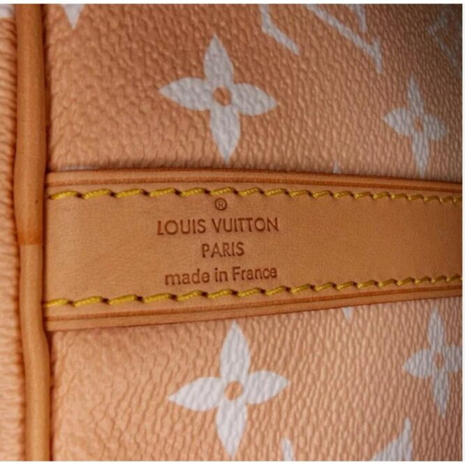 Louis Vuitton Monogram Giant By The Pool Speedy Bandoliere 25 PRISITINE